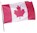 Canadian_Flag.gif (1443 bytes)
